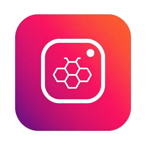 honinsta